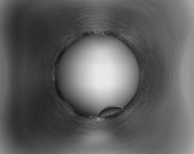 X0000090730768200707200955