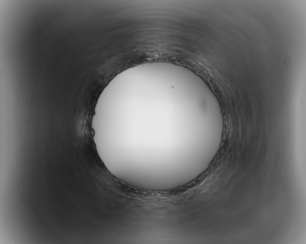 X0000090730770200707200954