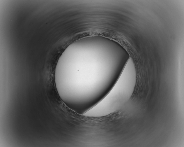 X0000090730773200707200954