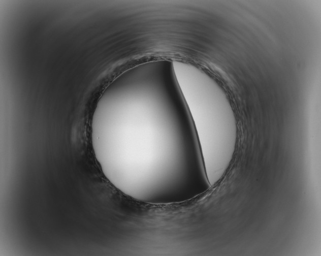 X0000090730776200707200954