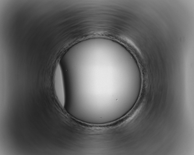 X0000090730777200707200954