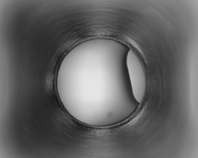 X0000090730778200707200954