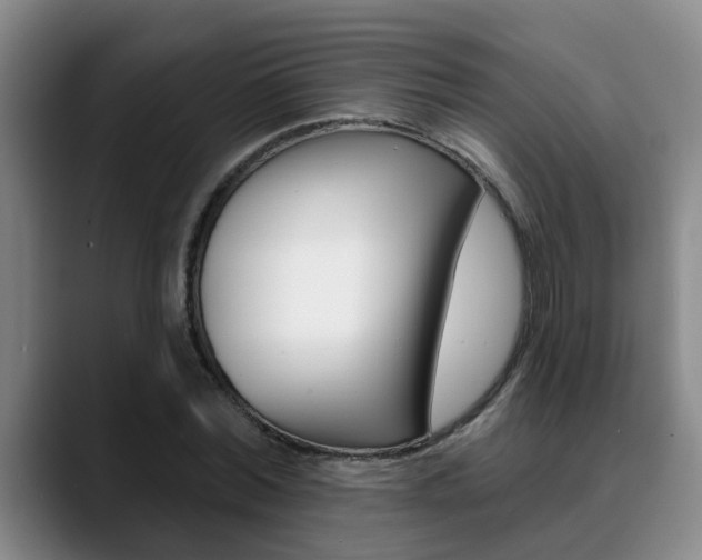 X0000090730780200707200954