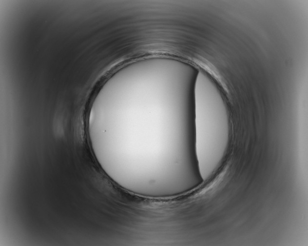 X0000090730782200707200954