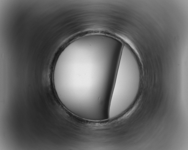 X0000090730783200707200954