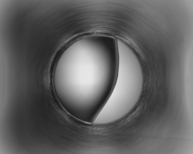 X0000090730784200707200954