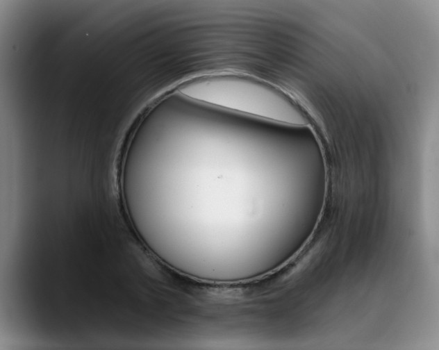 X0000090730789200707200954