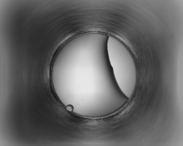 X0000090730790200707200954