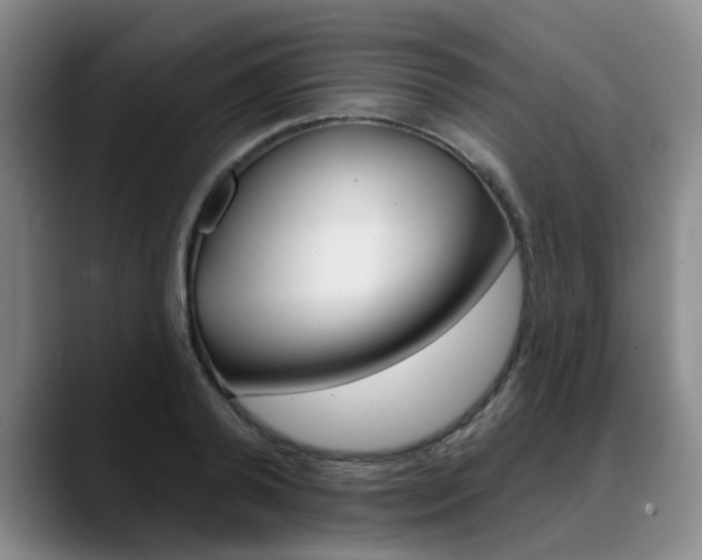 X0000090730792200707200954