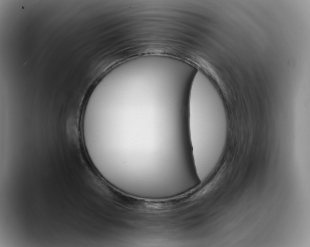 X0000090730794200707200954