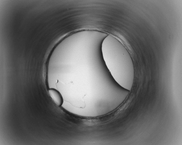 X0000090730804200707200954