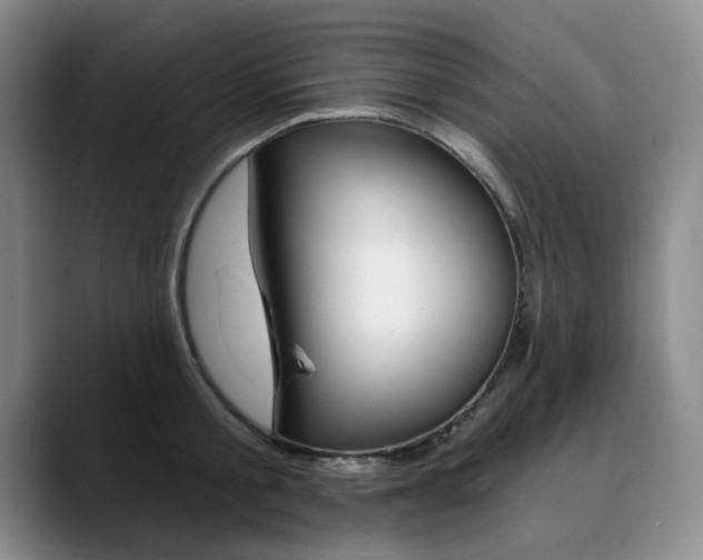 X0000090730805200707200954