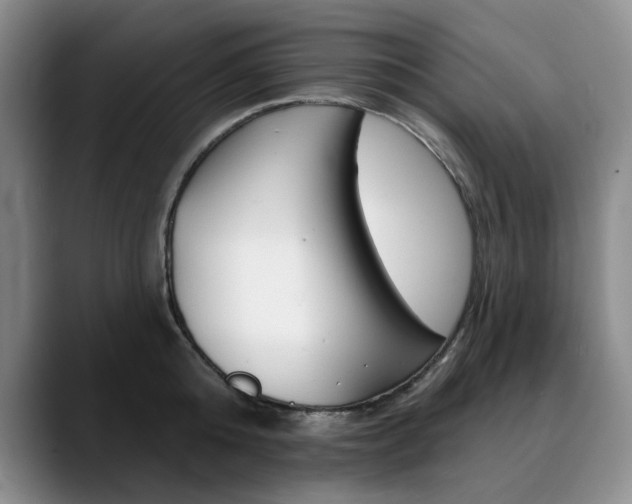 X0000090730808200707200954