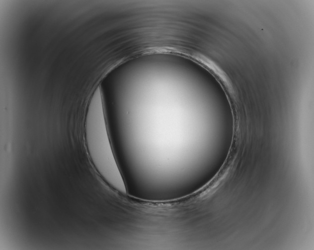 X0000090730809200707200954