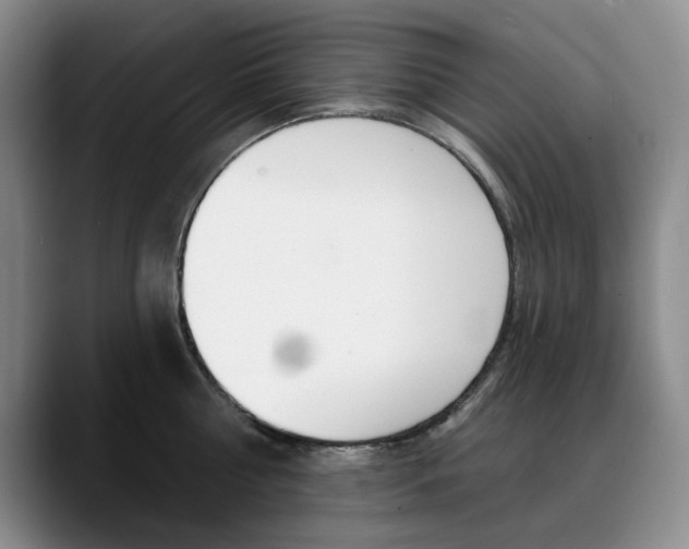 X0000090730810200707200954