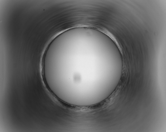 X0000090730811200707200954