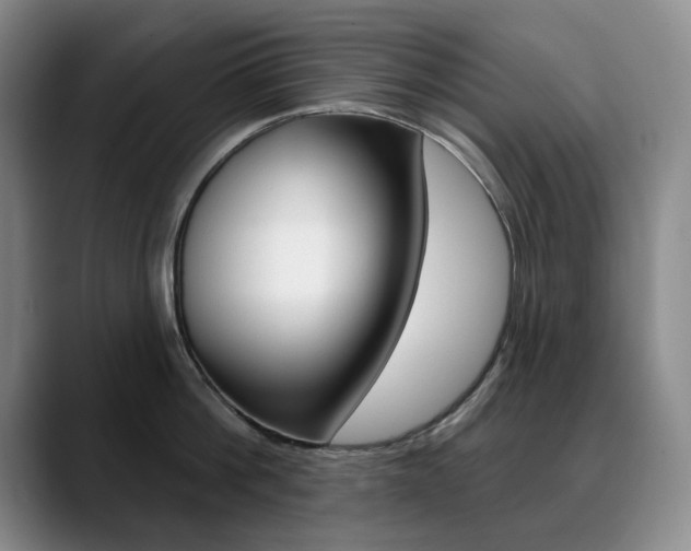 X0000090730812200707200954