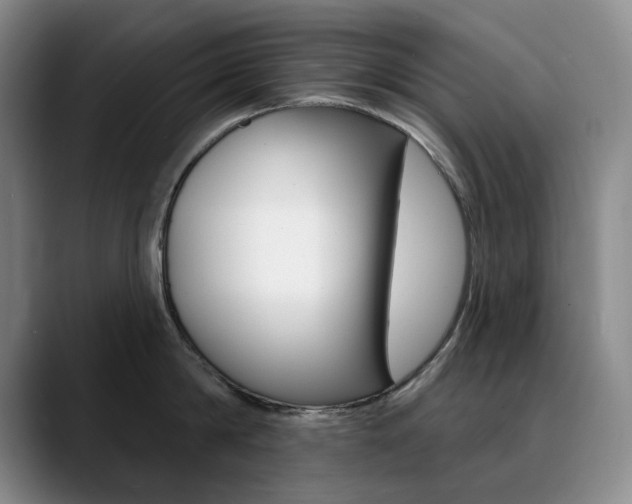 X0000090730814200707200954