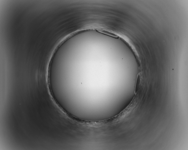 X0000090730815200707200954