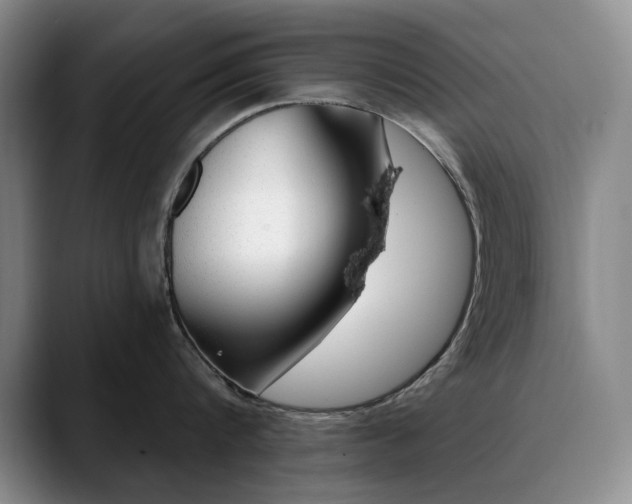 X0000090730816200707200954