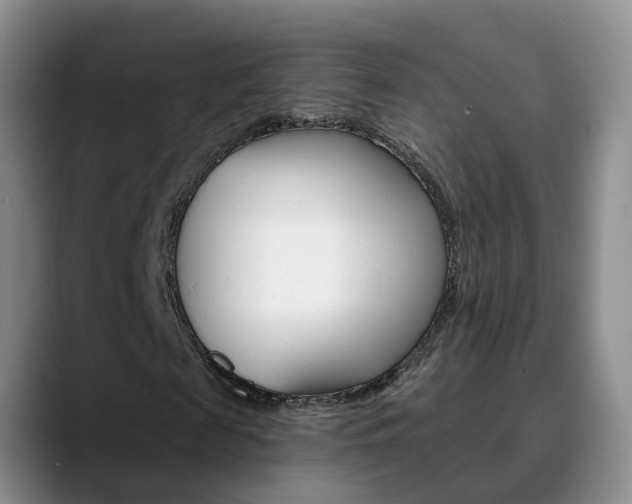 X0000090730817200707200953