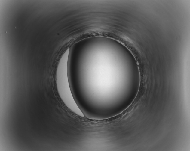 X0000090730822200707200953