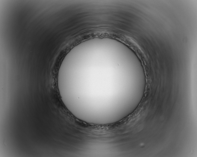 X0000090730823200707200953