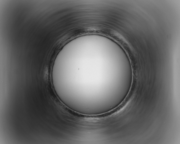 X0000090730825200707200953