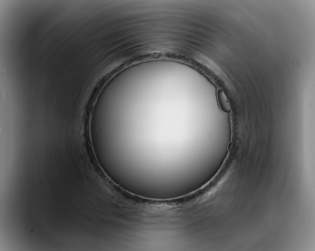 X0000090730826200707200953
