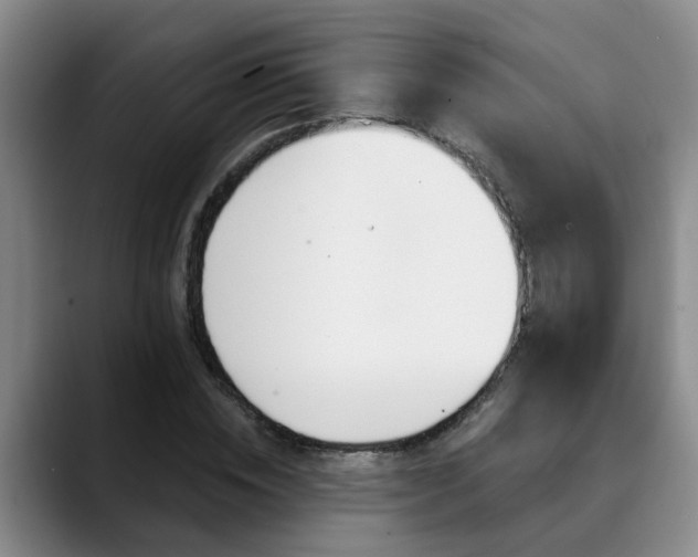 X0000090730828200707200953