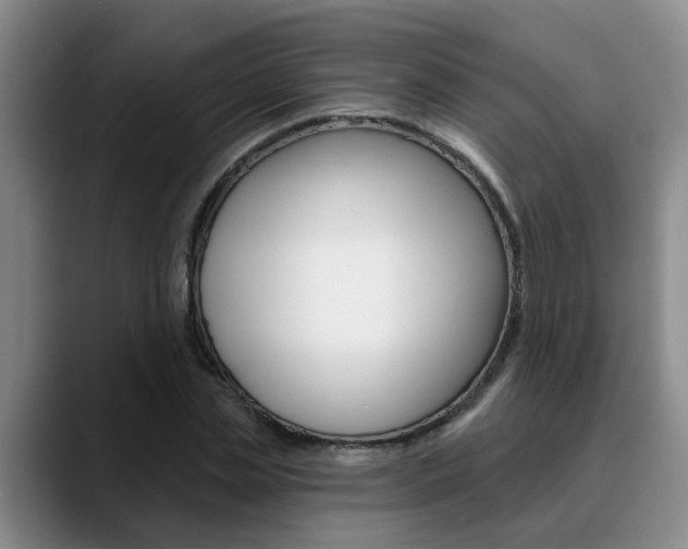 X0000090730829200707200954