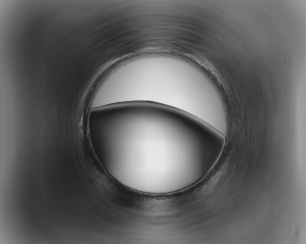 X0000090730830200707200954