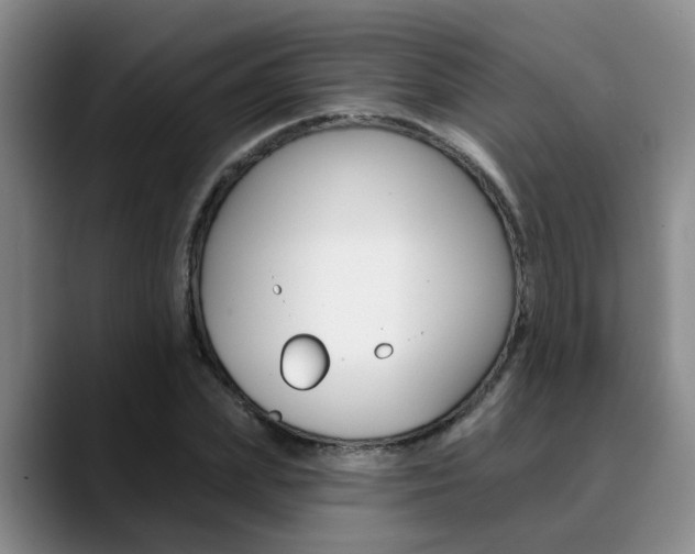 X0000090730831200707200954
