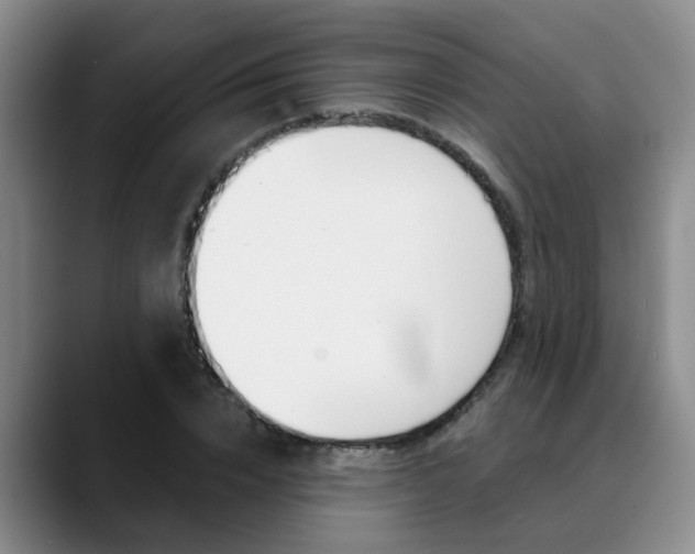 X0000090730832200707200954