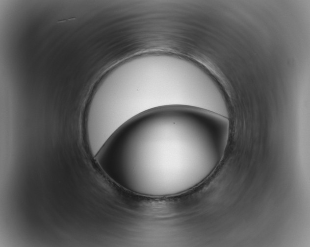 X0000090730834200707200954