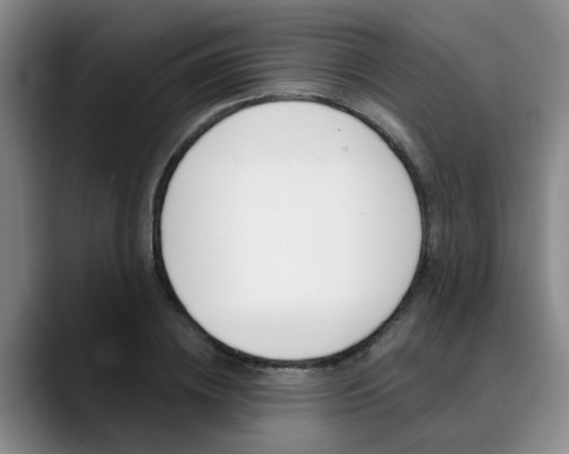 X0000090730836200707200954