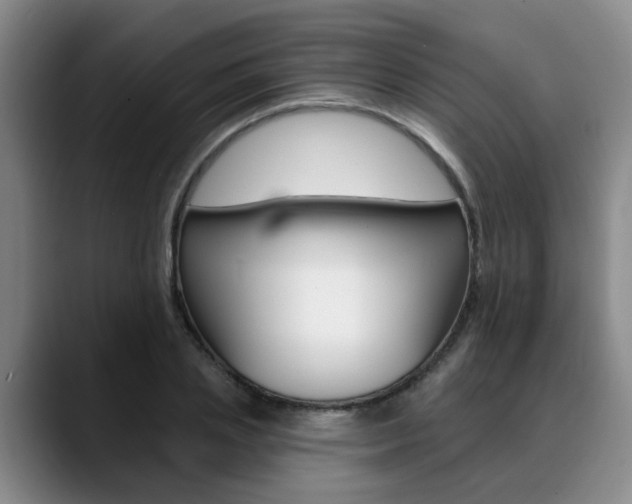 X0000090730837200707200954