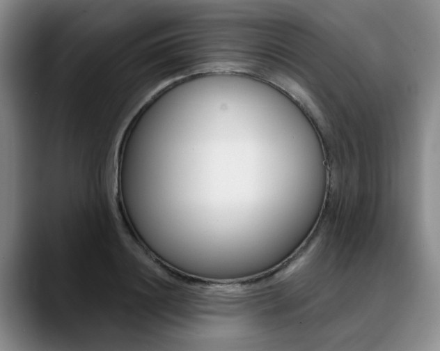 X0000090730844200707200954