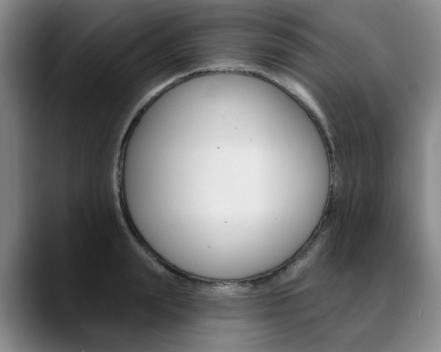 X0000090730847200707200954