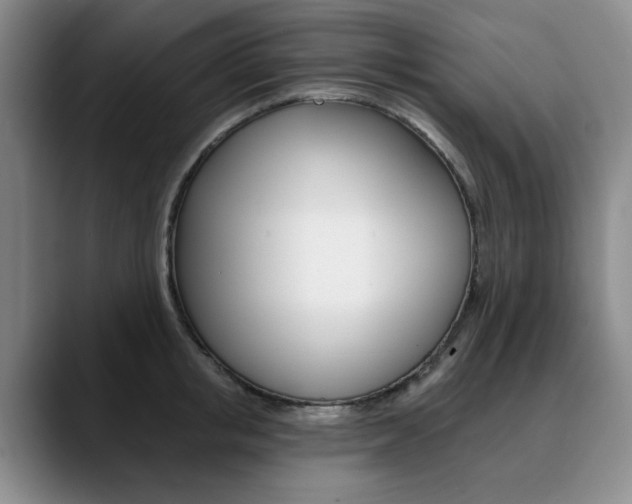 X0000090730853200707200954