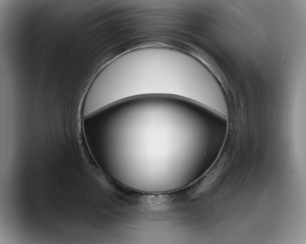 X0000090730858200707200954