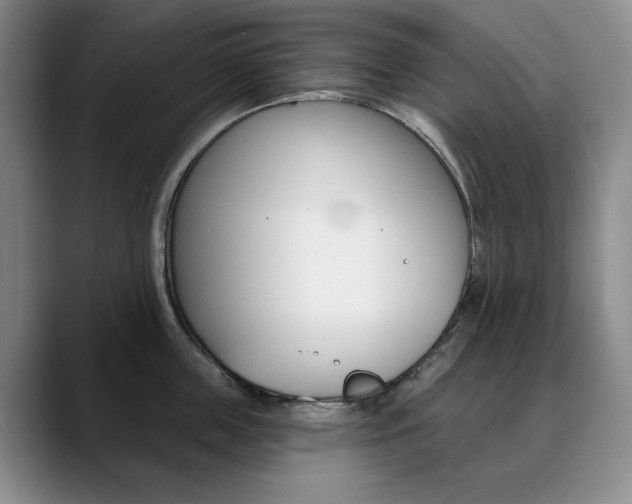 X0000090730859200707200954