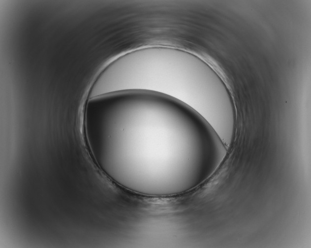 X0000090730862200707200954