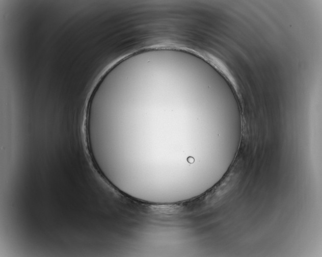 X0000090730863200707200954