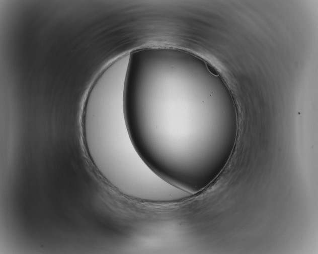 X0000090730864200707200954