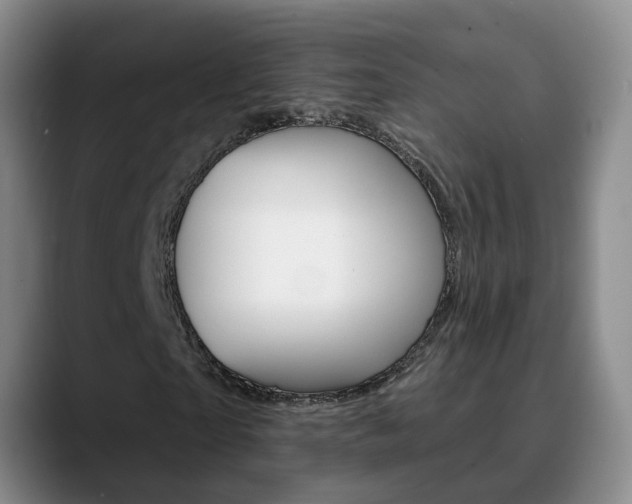 X0000090730865200707200953