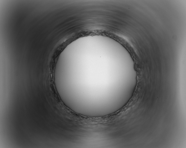 X0000090730871200707200953