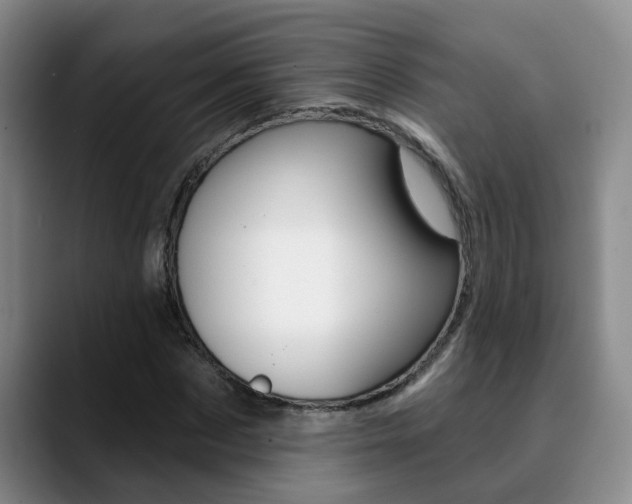 X0000090730873200707200953