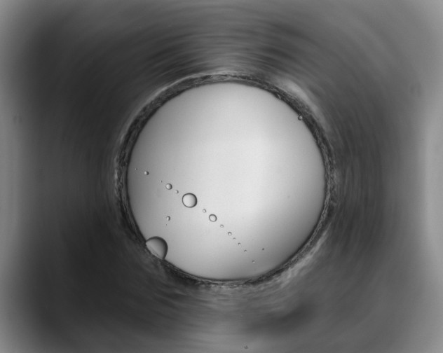 X0000090730875200707200953