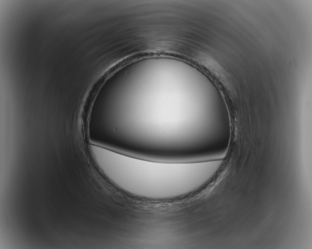 X0000090730876200707200953